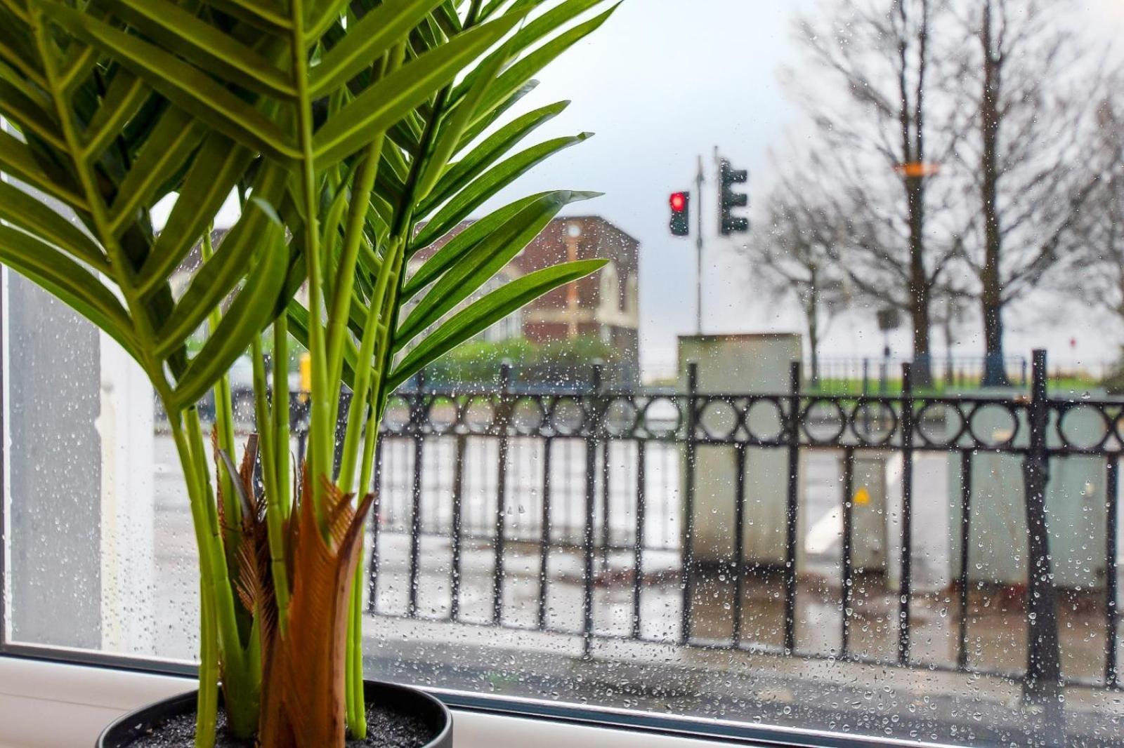 Casa One Hundred - A Beautiful 4 Bed House On The Beach Front Swansea Exteriör bild