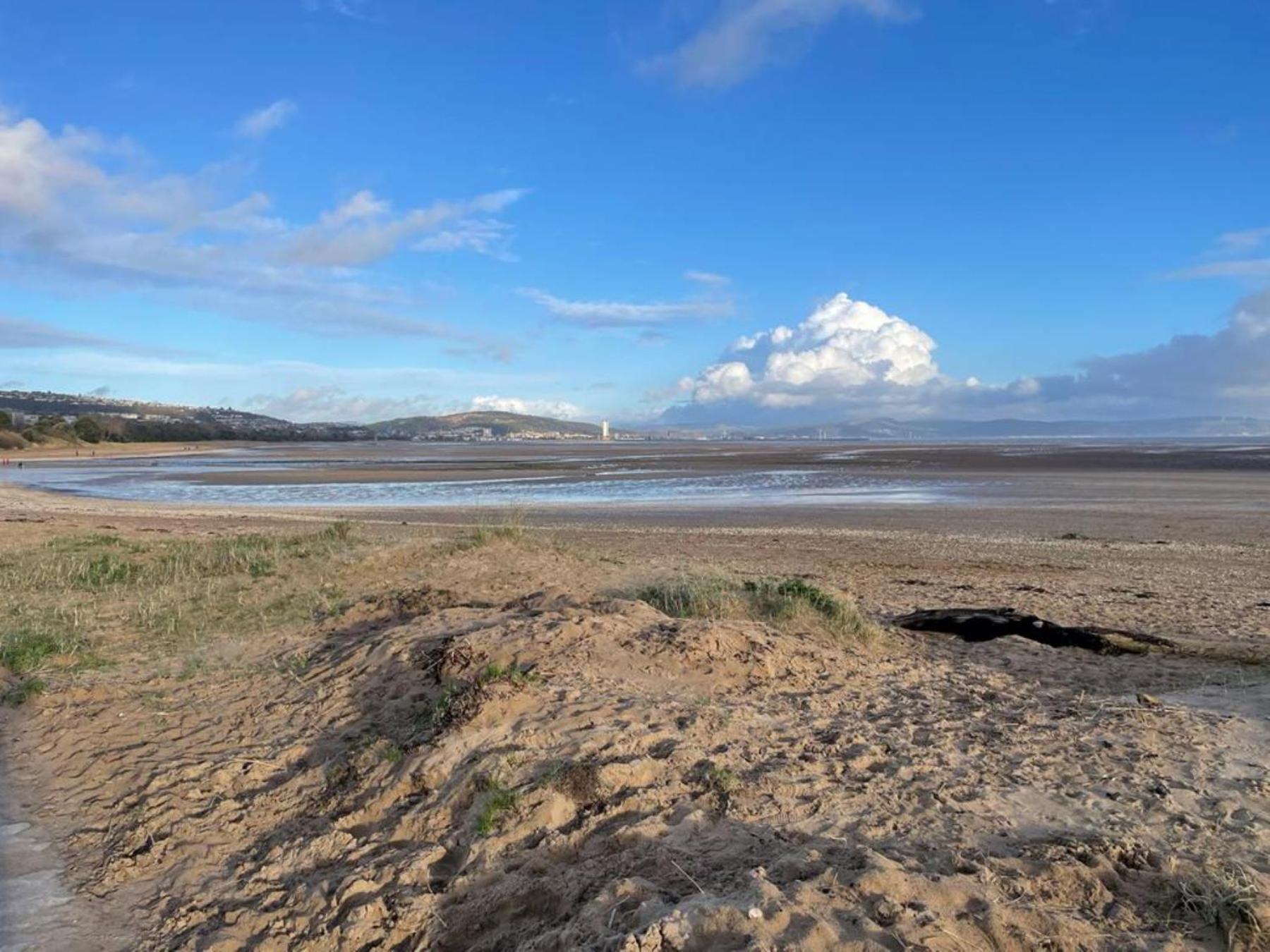 Casa One Hundred - A Beautiful 4 Bed House On The Beach Front Swansea Exteriör bild